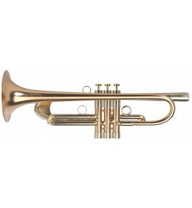 Trompette Sib Adams Selected A8