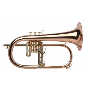Bugle Sib Adams Selected F5