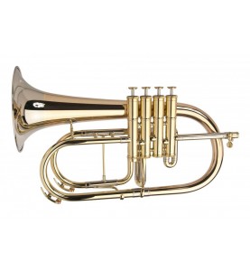 Bugle Sib Adams Selected F4