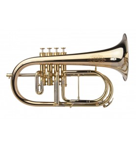 Bugle Sib Adams Selected F4