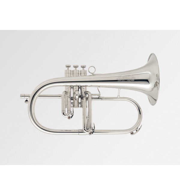 Bugle Sib Adams Selected F2LT