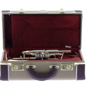 Cornet Sib Getzen Eterna 800 DLX