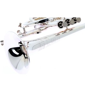 Cornet Sib Getzen Eterna 800 DLX