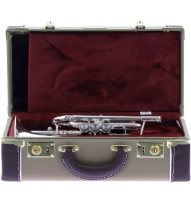 Cornet Sib Getzen Eterna 800 DLX