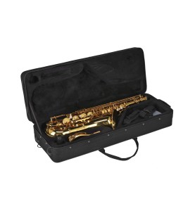 Sax. Tenor Gewa Ambition TS650