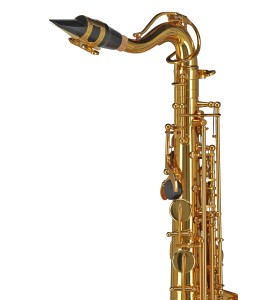 Sax. Alto Enfant Gewa Ambition AS655