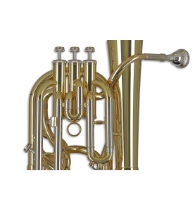 Saxhorn Bar. Sib GEWA Ambition BH651