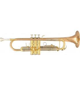 Trompette Sib SML TP600