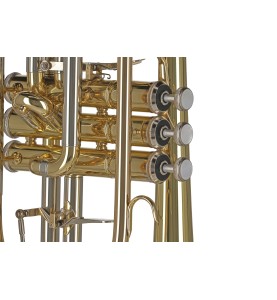 Cornet Sib GEWA Ambtion CR651