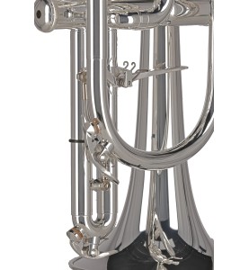 Cornet Sib GEWA Ambtion CR651