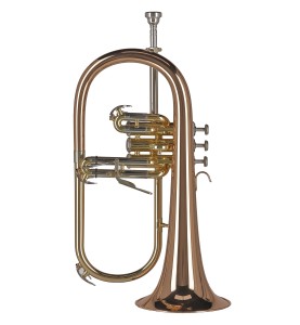 Bugle Sib GEWA Ambition FH501