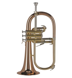 Bugle Sib GEWA Ambition FH501