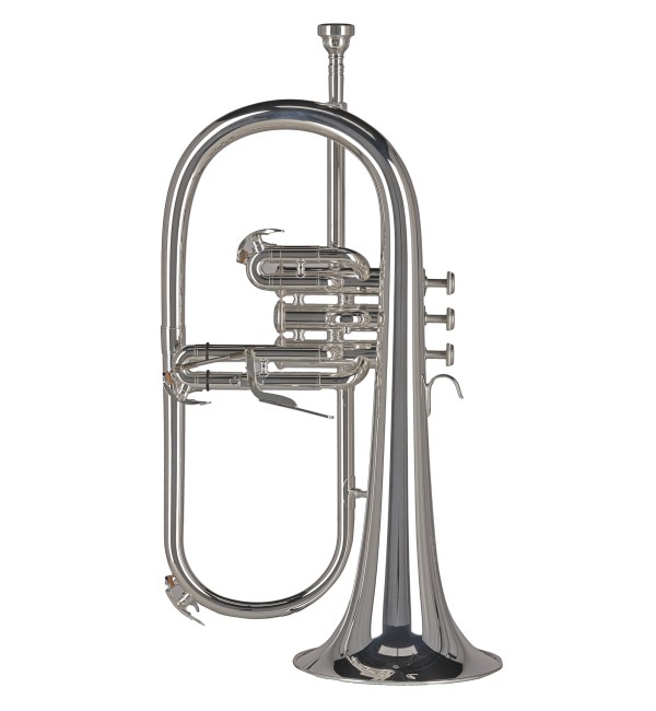 Bugle Sib GEWA Ambition FH501