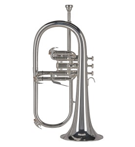 Bugle Sib GEWA Ambition FH501