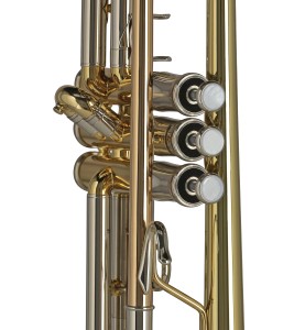 Trompette Sib GEWA Vision  TR372